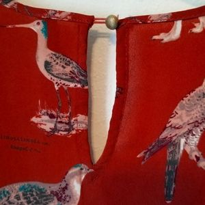 Melissa McCarthy 2X brown w quails tunic blouse